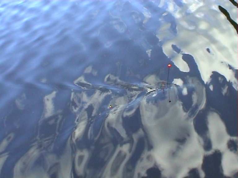 nur noch mit Sichtzeichen